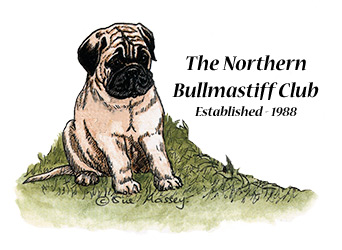 The first Northern Bullmastiff Club Committee
