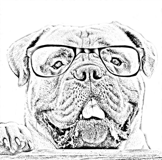 The Northern Bullmastiff Club