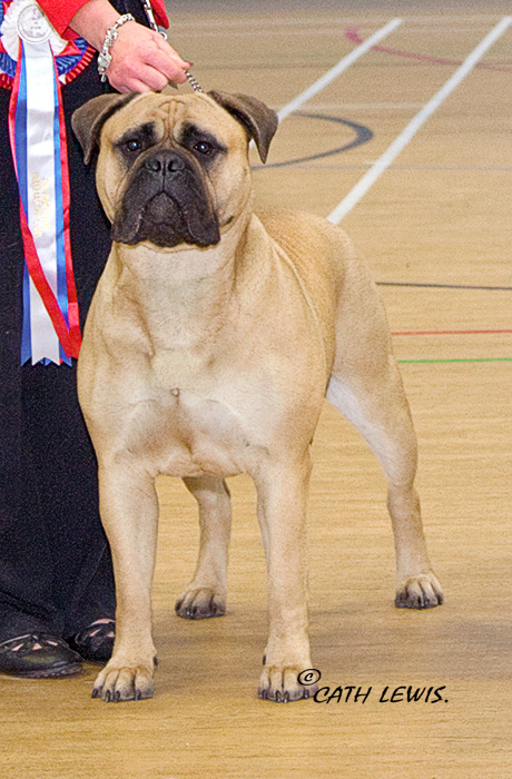 BIS - Champ Show Feb. 2015