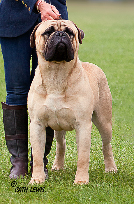 BIS - Champ. Show June 2022