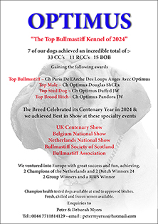 Optimus Bullmastiffs