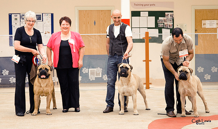 NBC Open Show August 2012