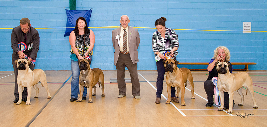 NBC Open Show August 2013