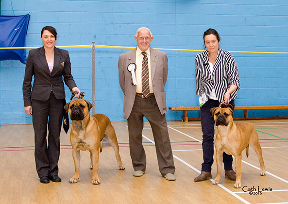 NBC Open Show August 2013