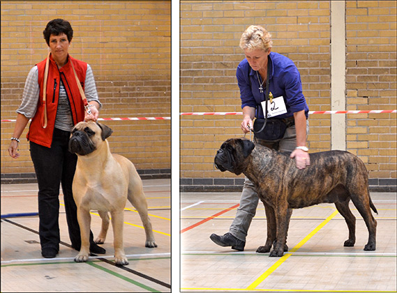 NBC Open Show August 2014