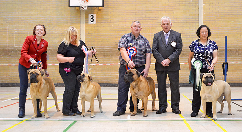 NBC Open Show August 2019