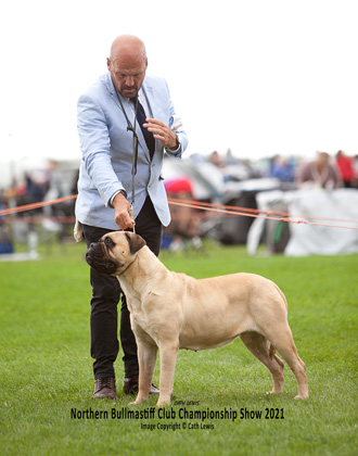 NBC Champ Show August 2021
