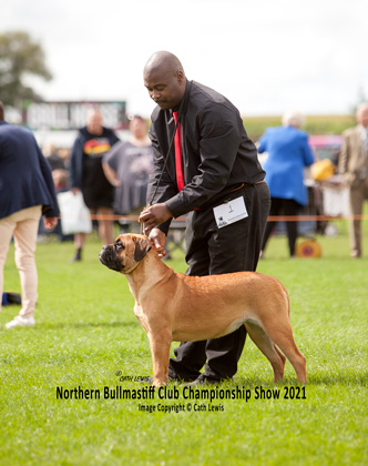 NBC Champ Show August 2021