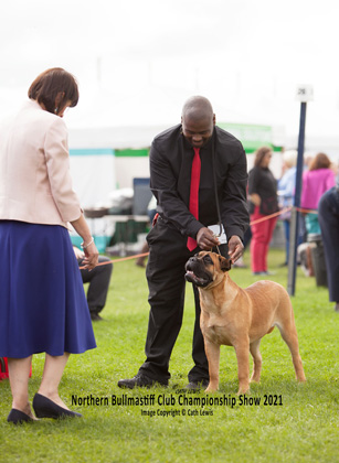 NBC Champ Show August 2021