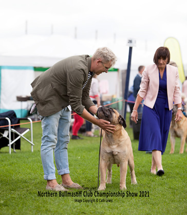 NBC Champ Show August 2021