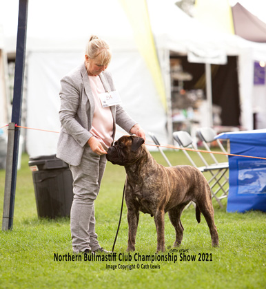 NBC Champ Show August 2021