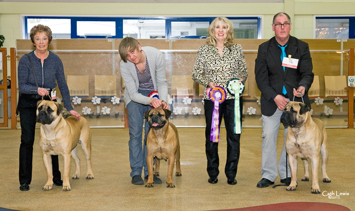 NBC Open Show February 2012