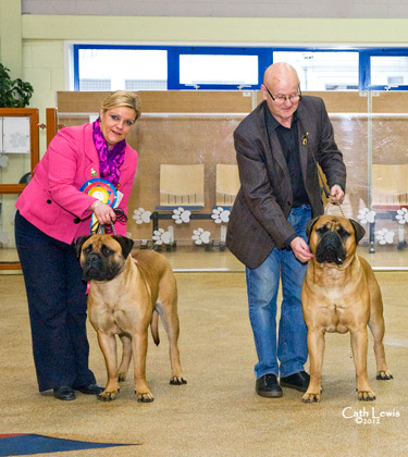 NBC Open Show February 2012