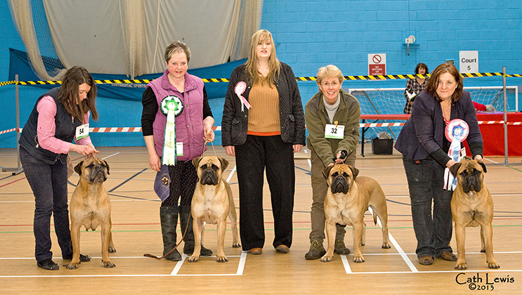 NBC Open Show February 2013