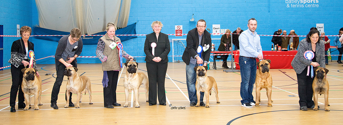 NBC Open Show February 2019