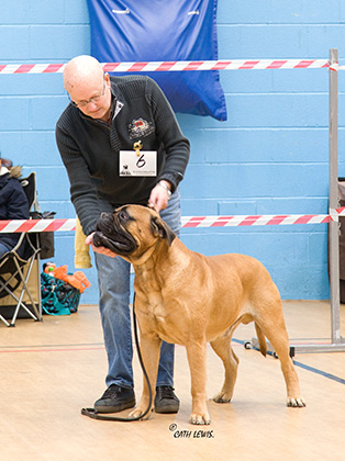 NBC Open Show February 2015