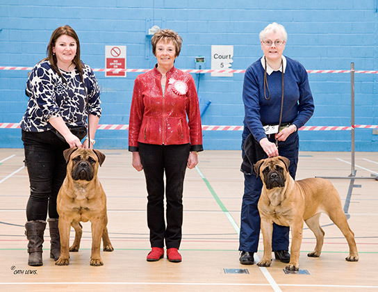 NBC Open Show February 2015