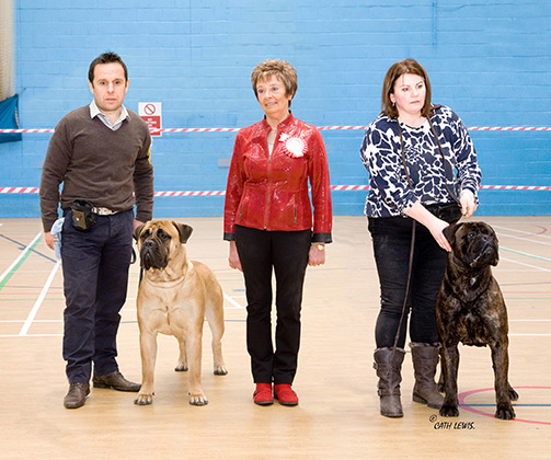 NBC Open Show February 2015