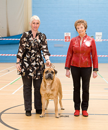 NBC Open Show February 2015