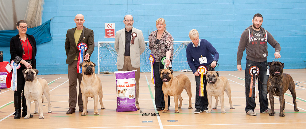 NBC Open Show February 2017