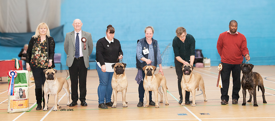 NBC Open Show February 2017