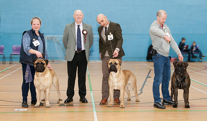 NBC Open Show February 2017