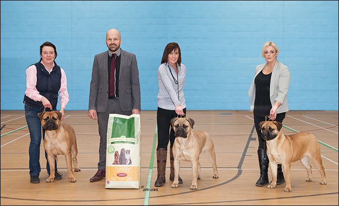 NBC Open Show February 2016