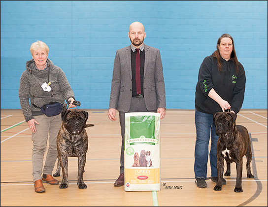 NBC Open Show February 2016