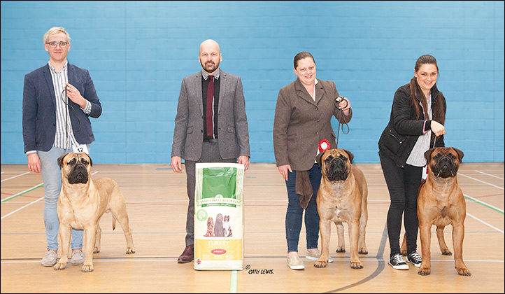 NBC Open Show February 2018