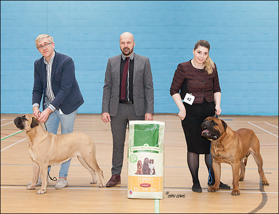 NBC Open Show February 2016