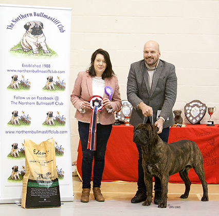 NBC Open Show February 2020