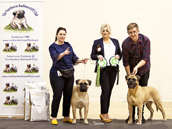 NBC Open Show February 2019