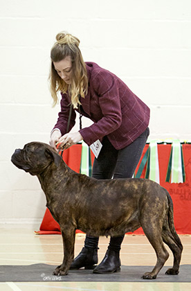 NBC Open Show February 2019