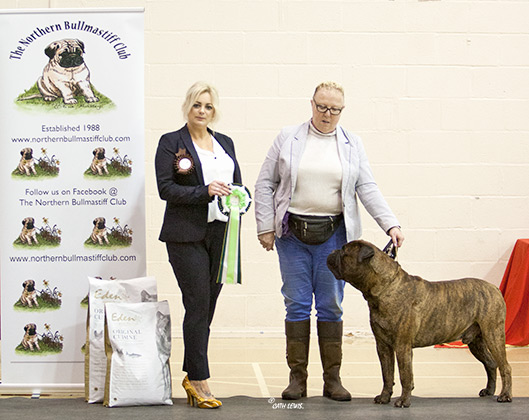 NBC Open Show February 2019