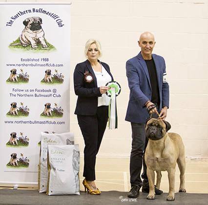 NBC Open Show February 2019