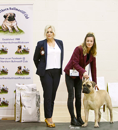 NBC Open Show February 2019