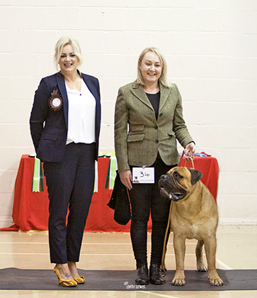 NBC Open Show February 2019