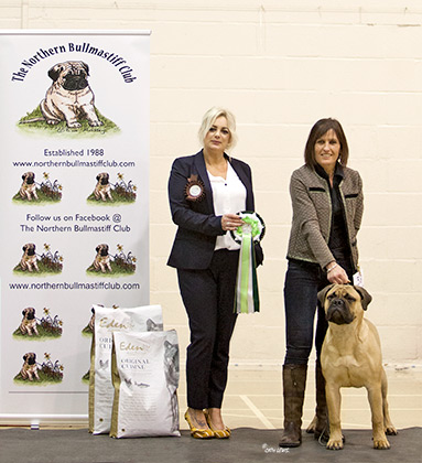 NBC Open Show February 2019