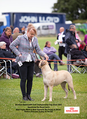 NBC Champ Show June 2022