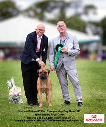 NBC Champ Show June 2022