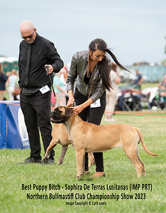 NBC Champ Show June 2023