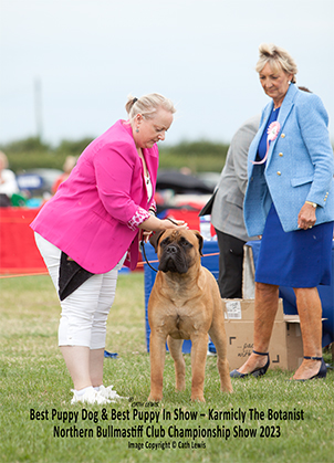 NBC Champ Show June 2023