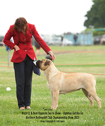 NBC Champ Show June 2023