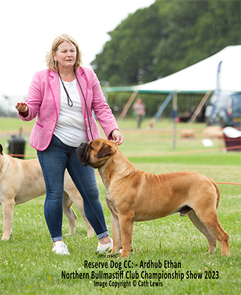 NBC Champ Show June 2023