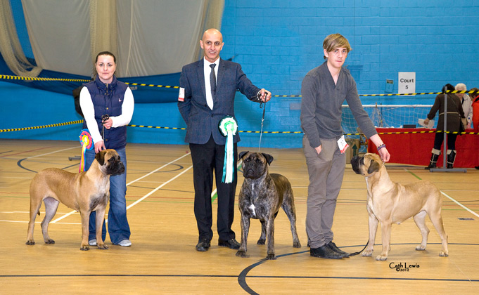 NBC Champ. Show November 2012