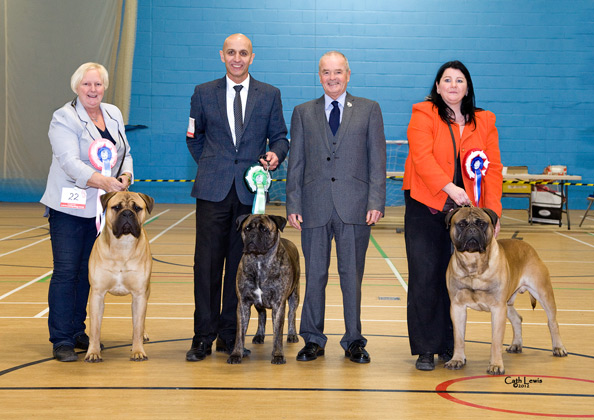 NBC Champ. Show November 2012