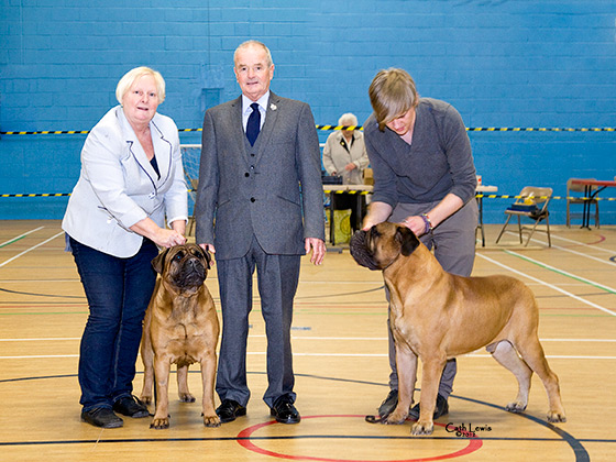 NBC Champ. Show November 2012