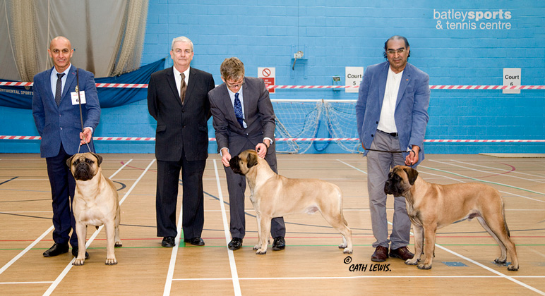 NBC Champ. Show November 2016