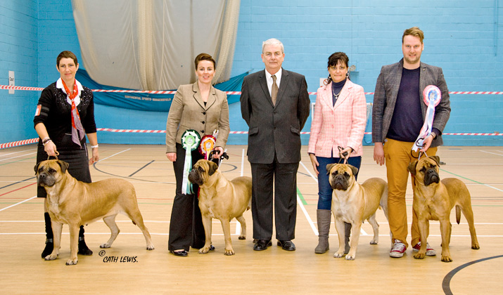 NBC Champ. Show November 2016