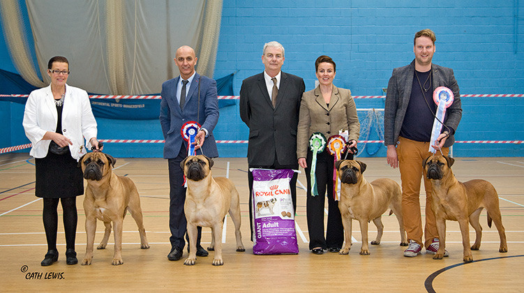 NBC Champ. Show November 2015